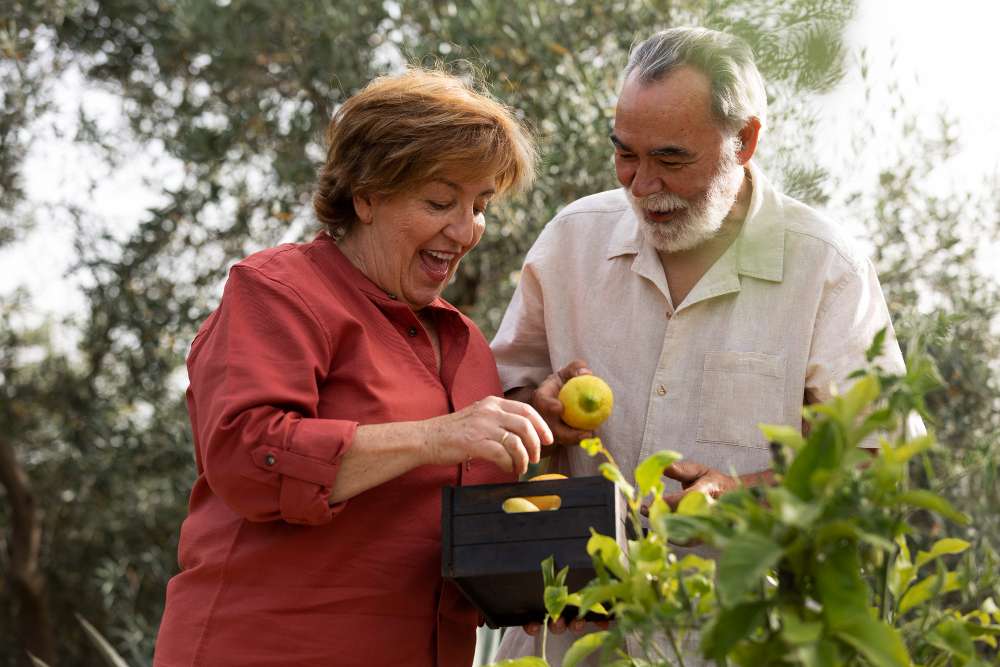 Faire du jardinage à la retraite